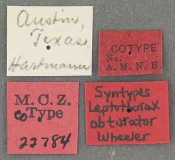 Media type: image;   Entomology 22784 Aspect: labels